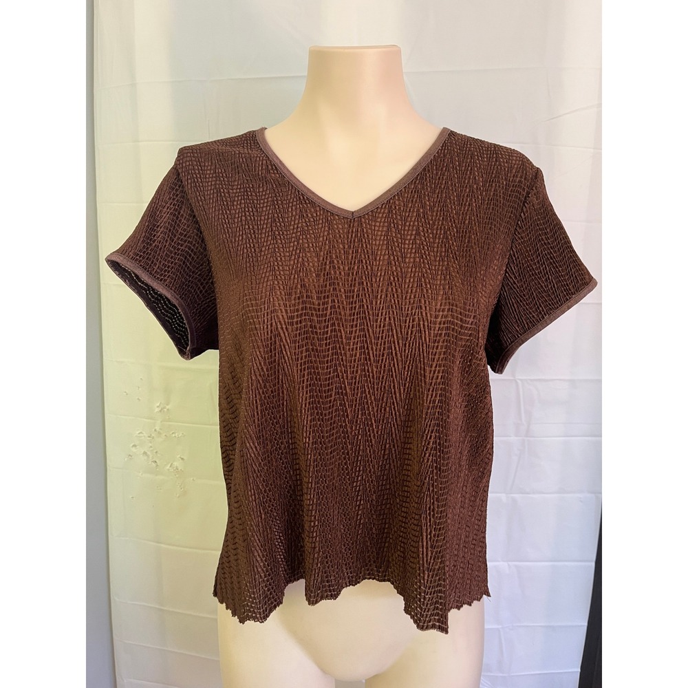 Vintage Lana Lee Brown Textured Crinkle Pleated V-Neck Short Sleeve Top Large